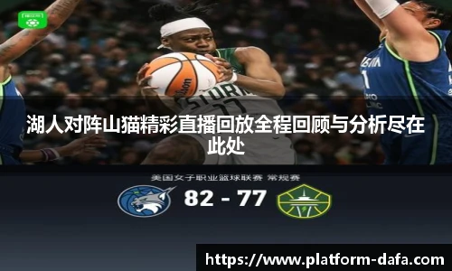 湖人对阵山猫精彩直播回放全程回顾与分析尽在此处